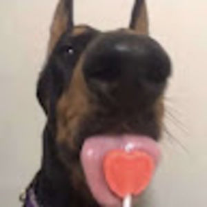 Meet your Posher, Lillian